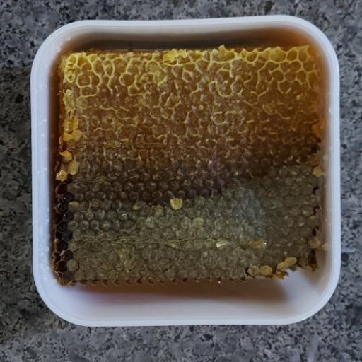 عسل موم دار چند گیاه طبیعی دامنه های خلخال استان اردبیل (1 کیلوگرم)