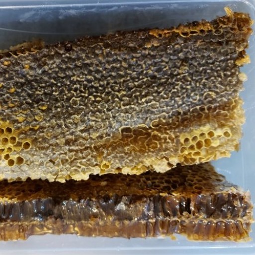 عسل چند گیاه موم دار طبیعی دامنه های خلخال استان اردبیل (نیم کیلوگرمی)
