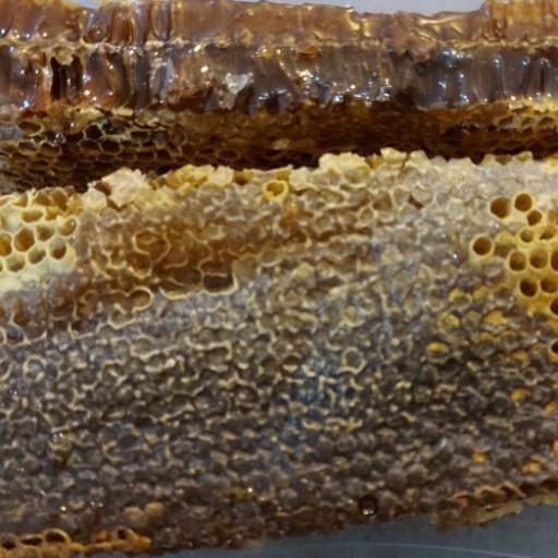 عسل موم دار چند گیاه طبیعی دامنه های خلخال استان اردبیل (1 کیلوگرم)