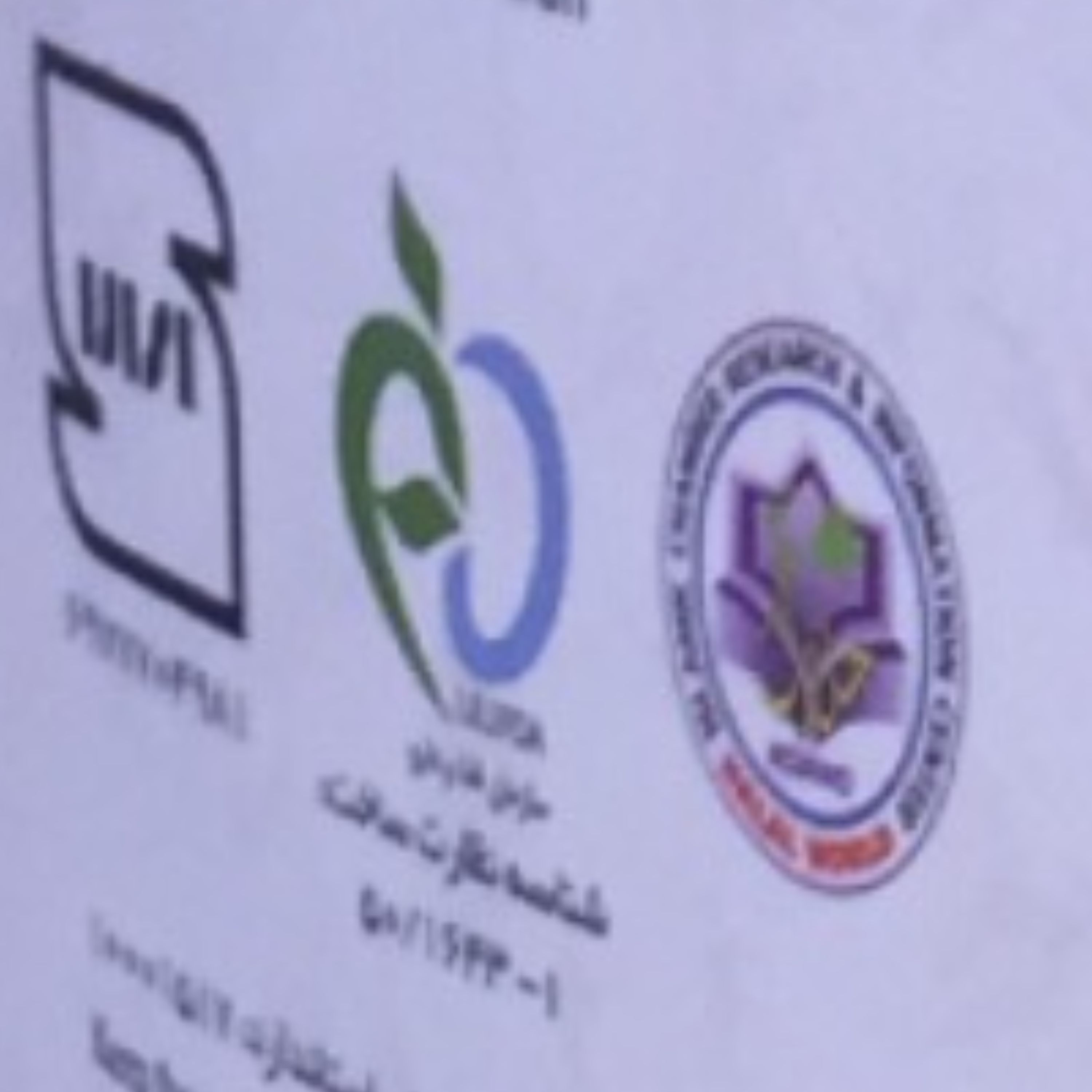 زعفران نگین صادراتی قاینات یک گرم