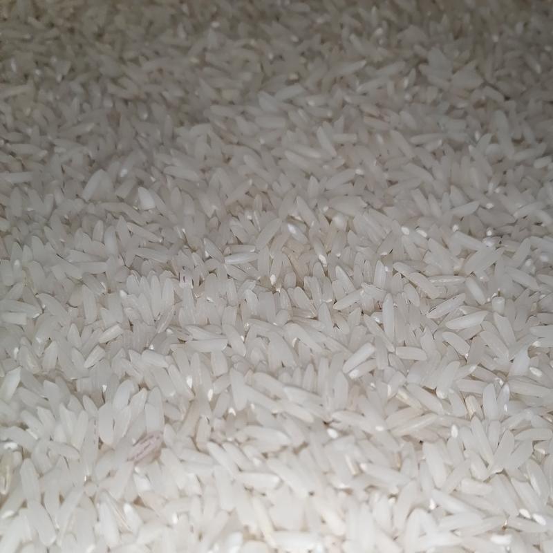 برنج فریدون کنار شیرودی درجه یک 10 کیلویی (ارسال رایگان) 