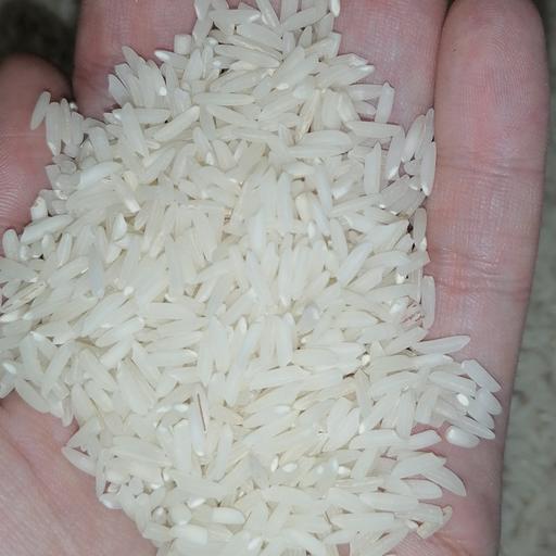برنج علی کاظمی خوش عطر و خوش پخت گیلان 10 کیلویی