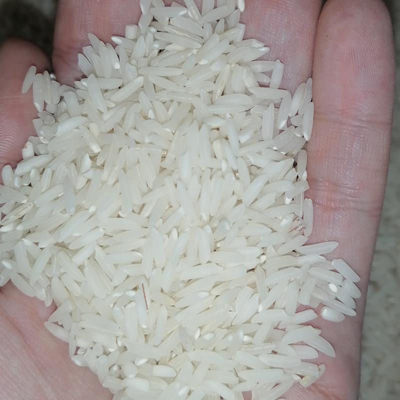 برنج فریدون کنار شیرودی درجه یک 10 کیلویی (ارسال رایگان) 