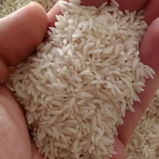 برنج هاشمی درجه یک 99 (10 کیلویی)