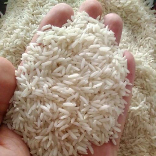 برنج هاشمی درجه یک 99 (4.5 کیلویی)