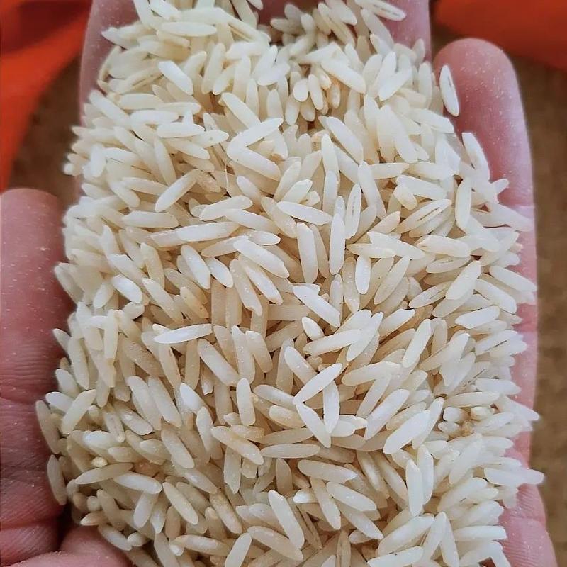 برنج دودی فوق العاده معطر  شیرودی ده کیلوگرم 