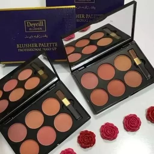 پالت رژ گونه 6 رنگ دایسل Daycell Blush