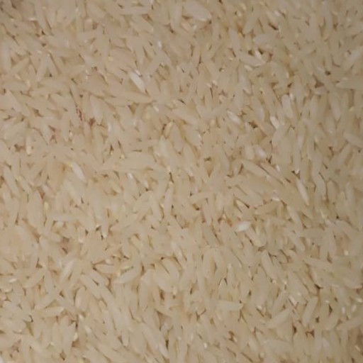 برنج ایرانی علی کاظمی