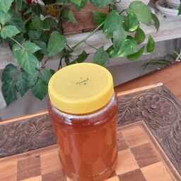 عسل طبیعی پنبه یک کیلویی