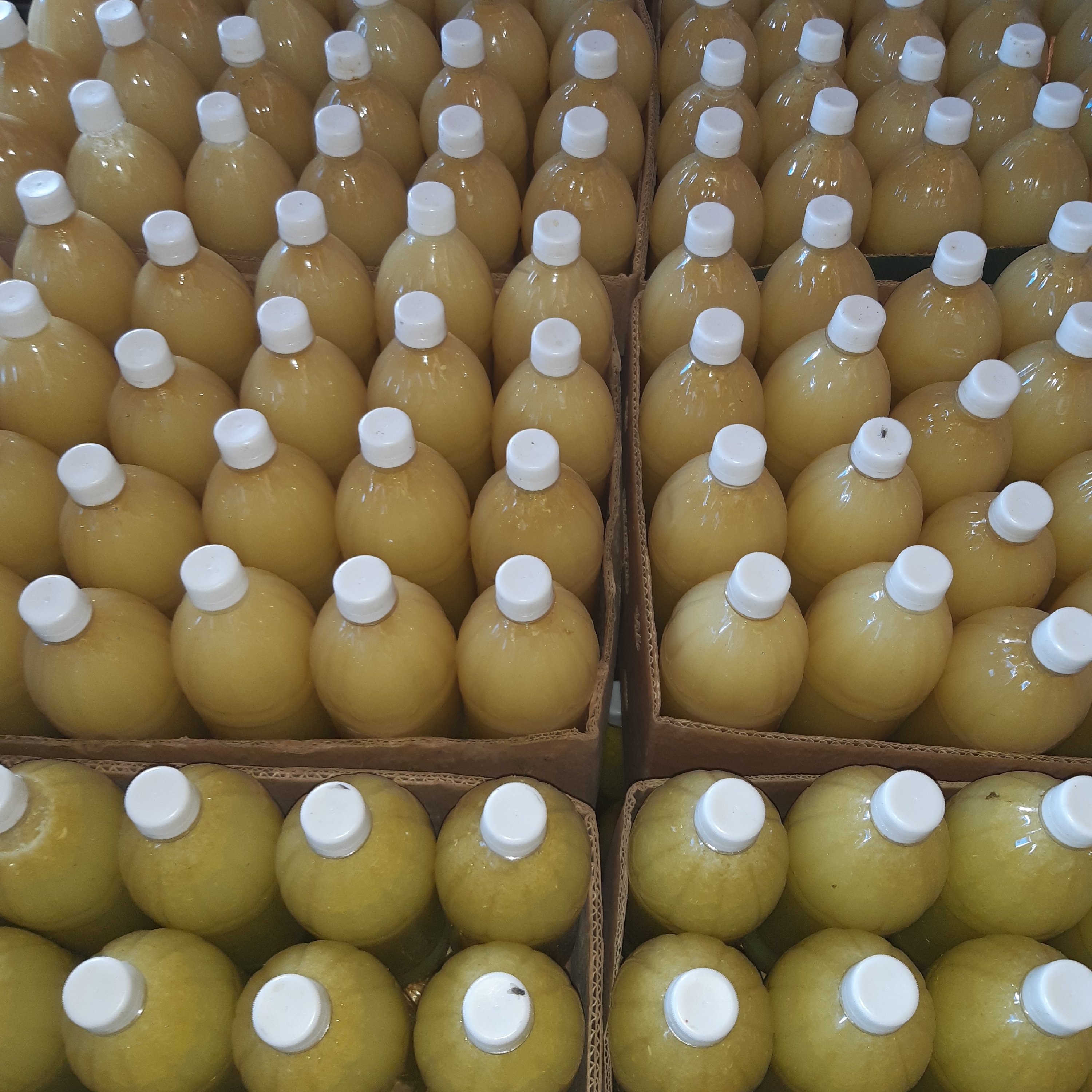 یک عدد آبلیمو یک و نیم لیتری صد در صد طبیعی تهیه شده از لیمو شیرازی