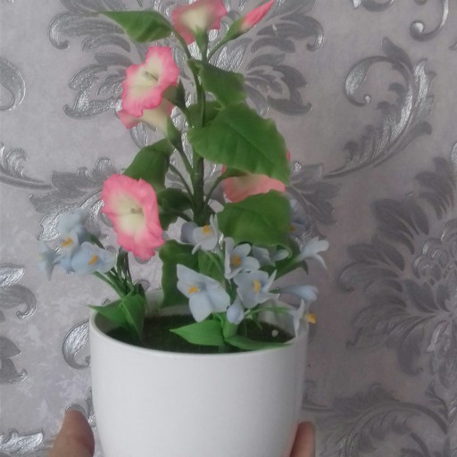گلدان گل اطلسی 2 با شکوفه های آبی