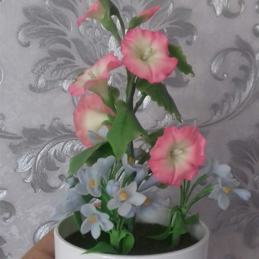 گلدان گل اطلسی 2 با شکوفه های آبی