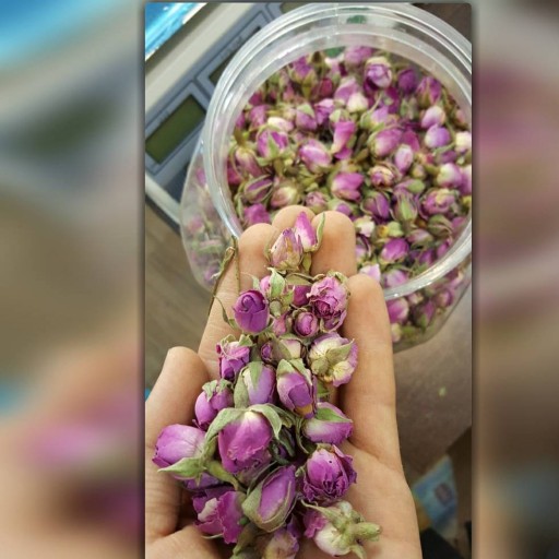 غنچه گل محمدی با عطر عالی ( 50 گرم )