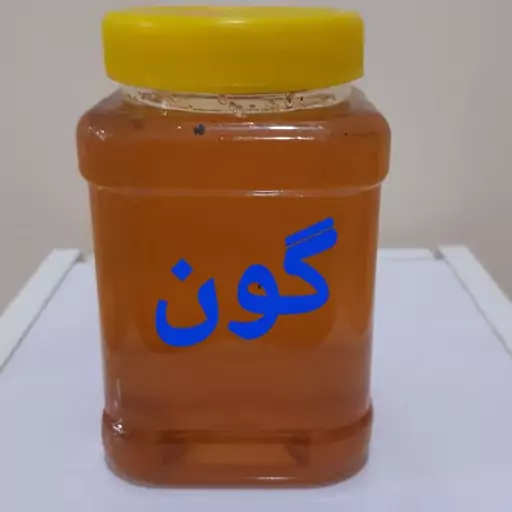 عسل  گون ( یک کیلویی )