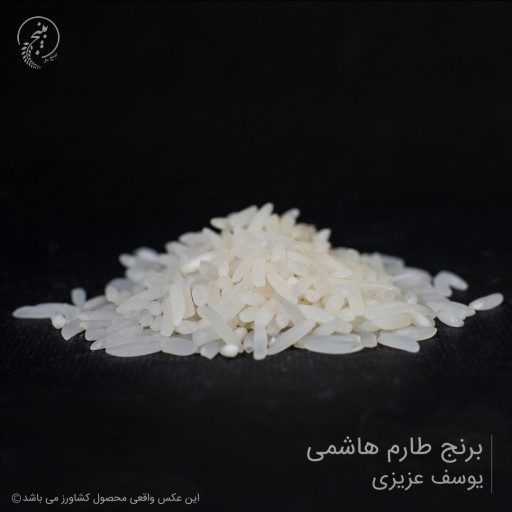 برنج طارم هاشمی مستقیم از شالیکار (یوسف عزیزی)