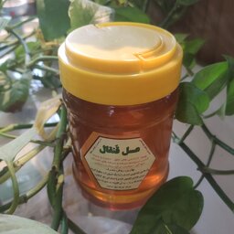 عسل خالص و ارگانیک قنقال با ساکاروز زیر1/5درصد