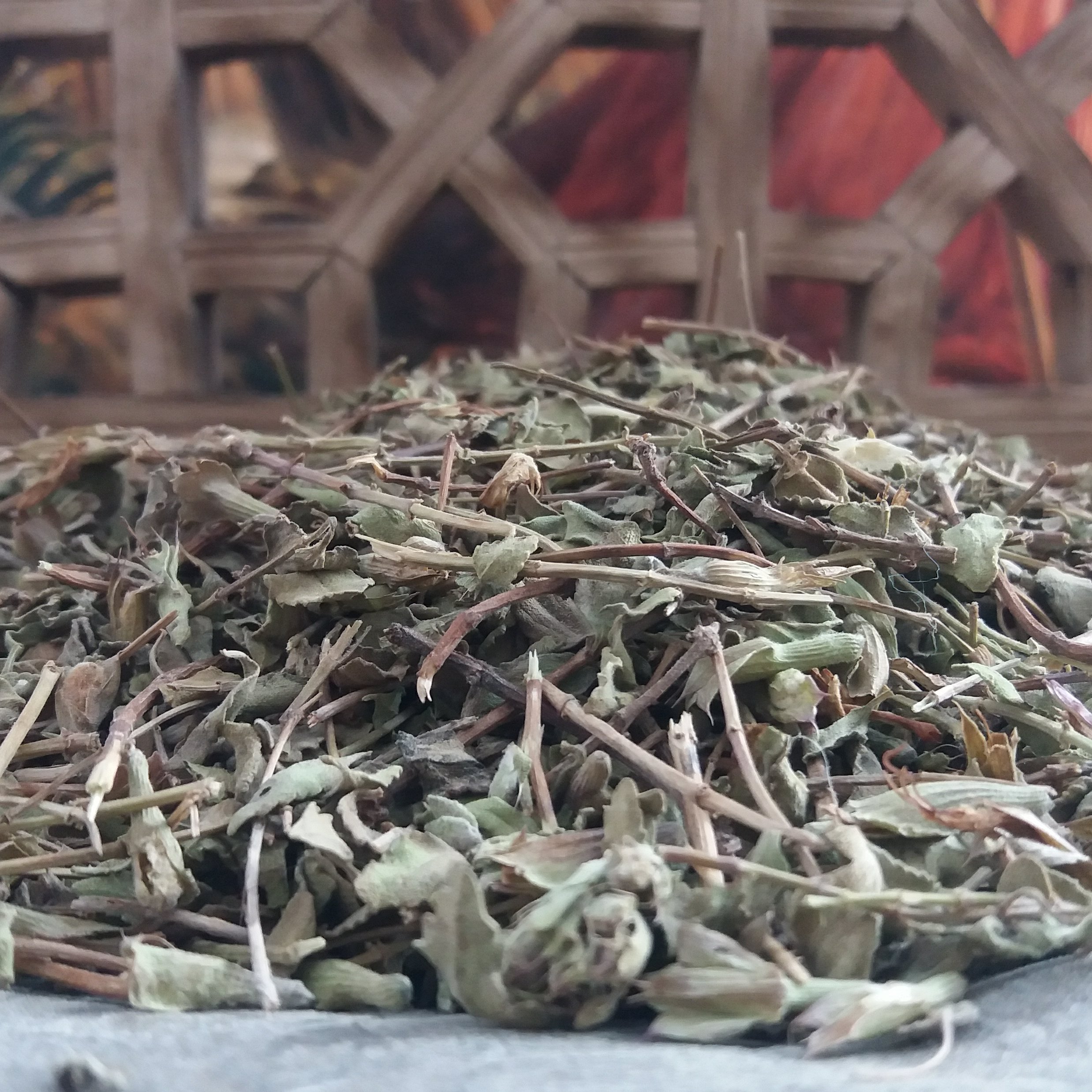 زرین گیاه