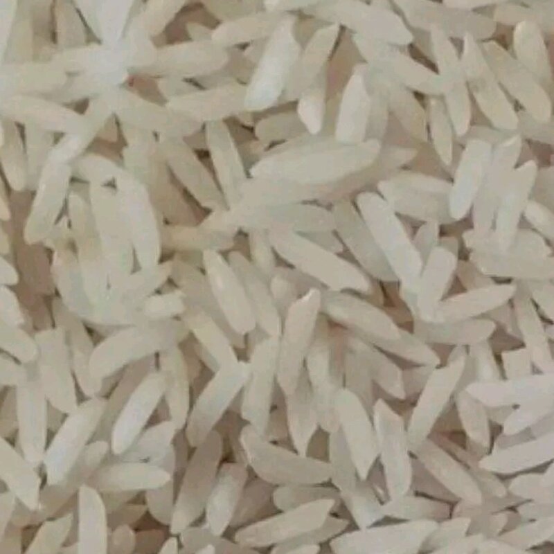 برنج طارم فجر درجه 1 و اعلا  محصول امساله در کیسه های 20 کیلویی