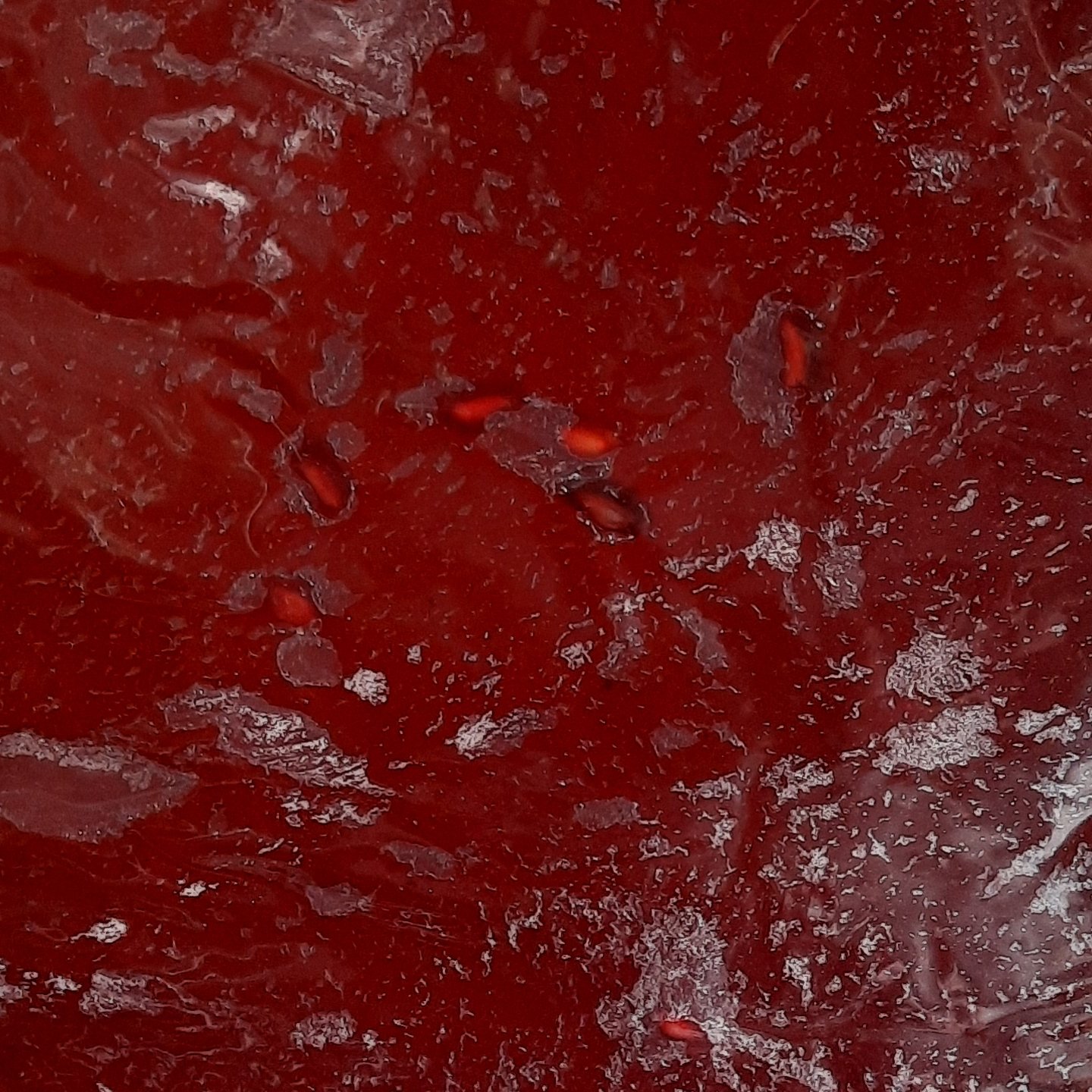لواشک خانگی ترش و تازه انار و آلوی قرمز 500 گرمی
