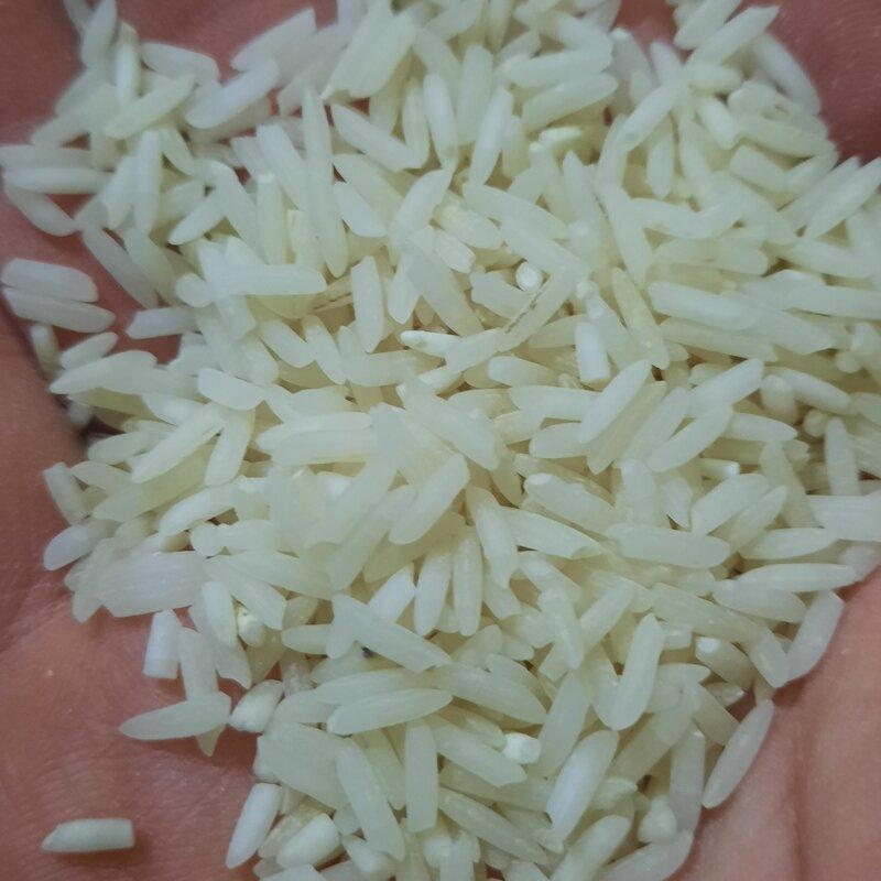 برنج شیرودی درجه یک بدون بوجاری و الک شده