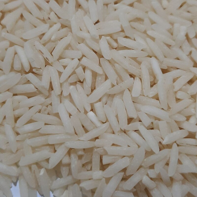 برنج شیرودی بدون بوجار و الک شده مستقیم از کارخانه