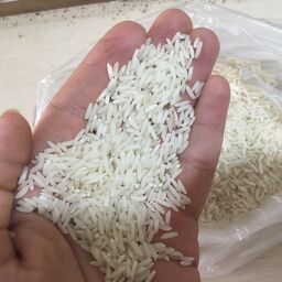 برنج طارم هاشمی  سورت شده (10 کیلوگرمی)  تضمین کیفیت و خلوص برنج (ارسال رایگان)