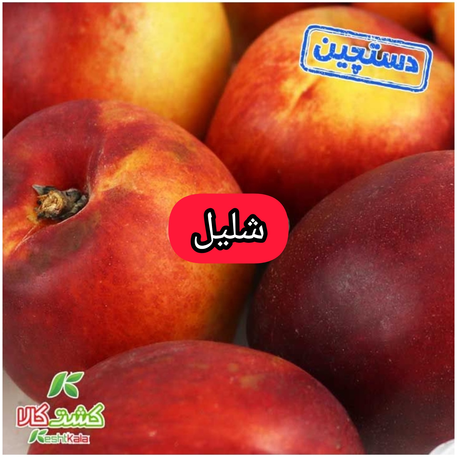 شلیل دستچین 1000 گرمی
