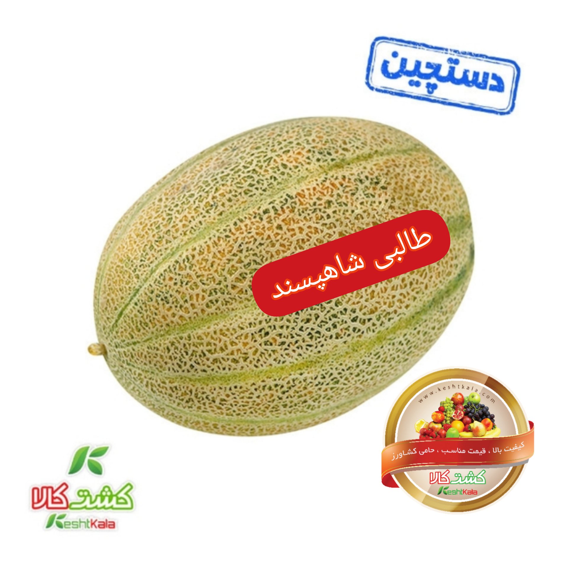 شاهپسند دستچین