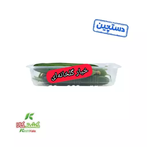 خیار گلخانه ای دستچین 500 گرمی