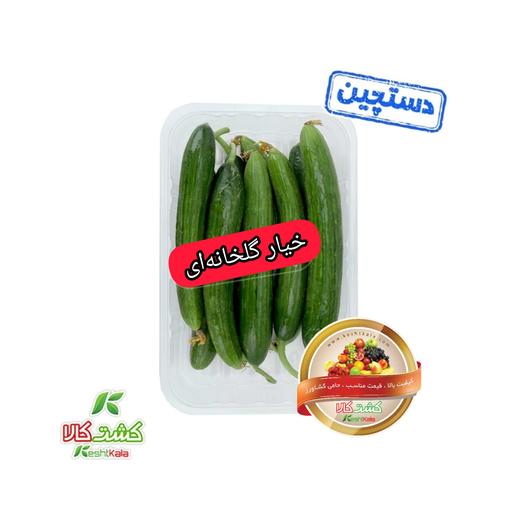 خیار گلخانه ای دستچین 1000 گرمی