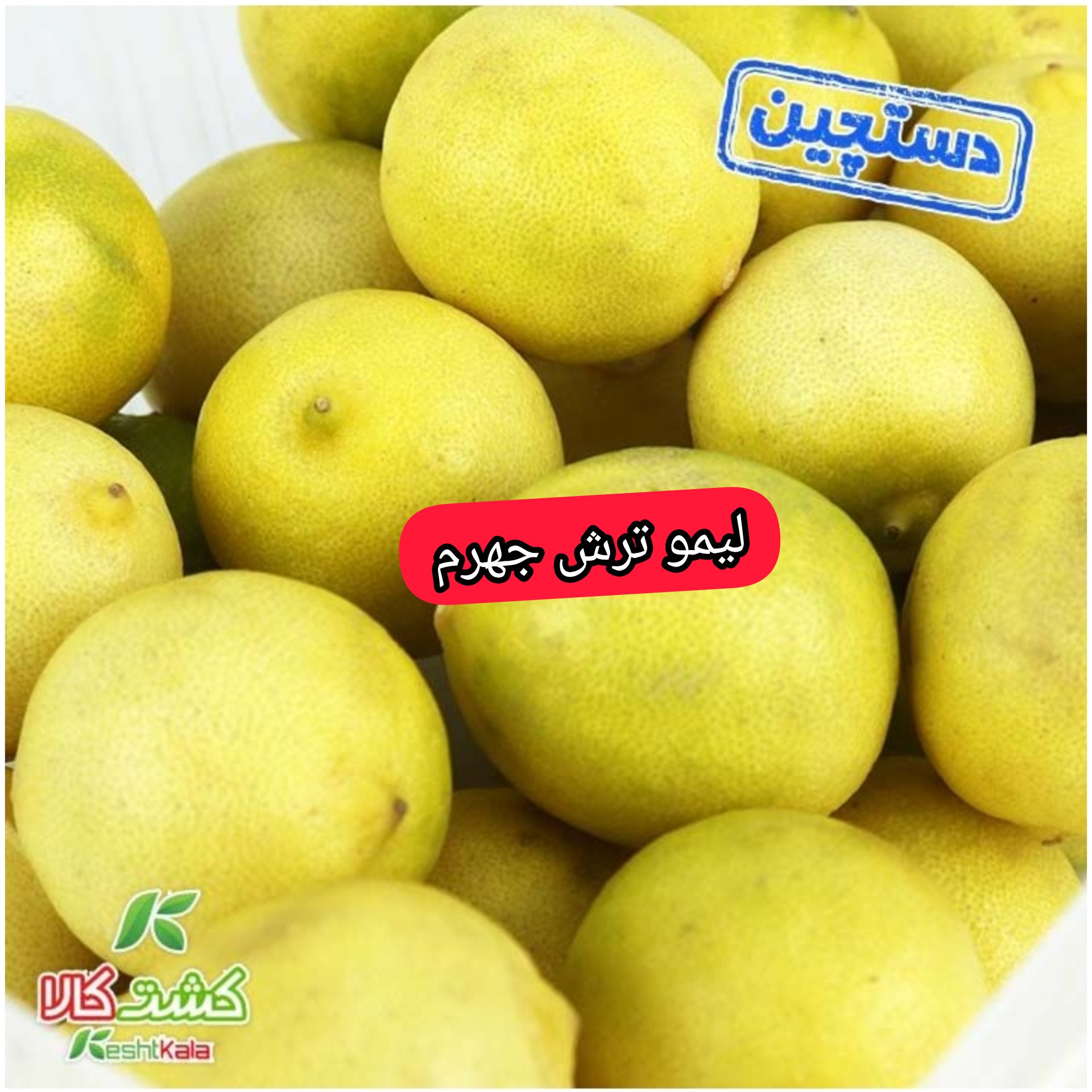 لیمو ترش جهرم دستچین 500 گرمی