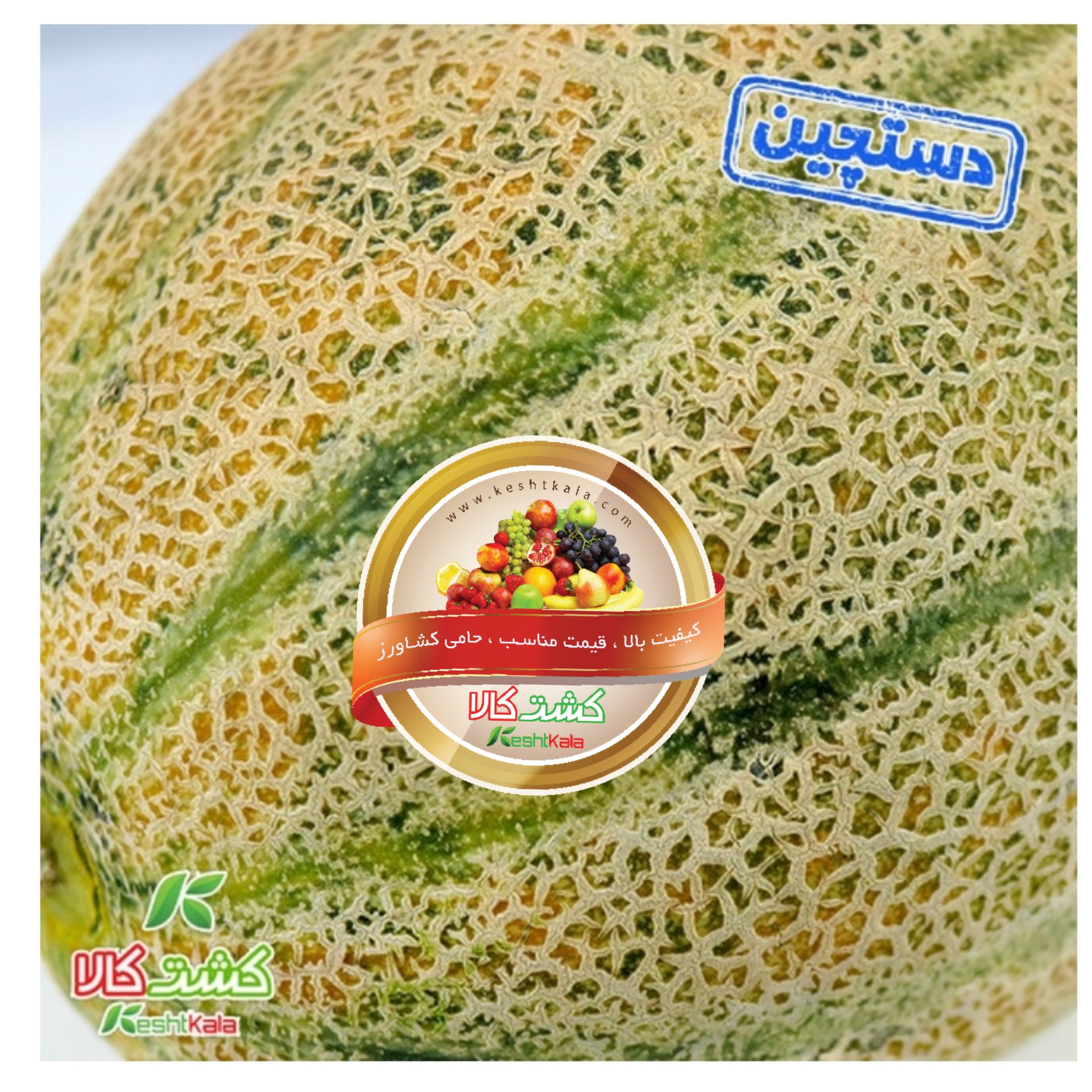 شاهپسند دستچین