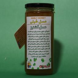 عسل طبیعی گشنیز برند هَبلی (600 گرمی)
