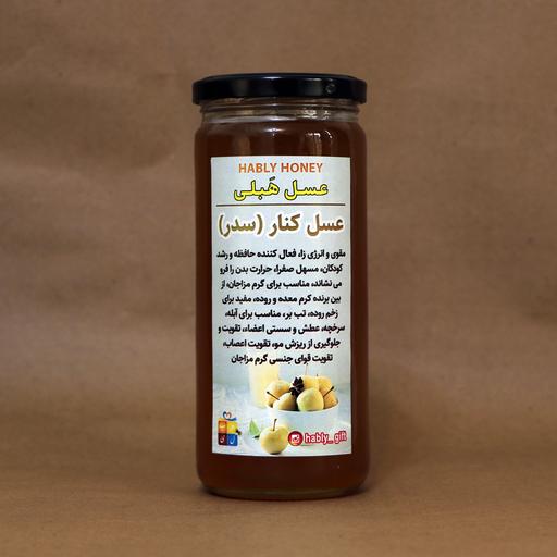 عسل طبیعی کنار اسود (ویژه) 600 گرمی برند هَبلی