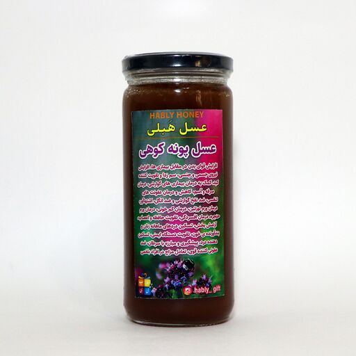 عسل طبیعی پونه کوهی برند هَبلی (600 گرمی)
