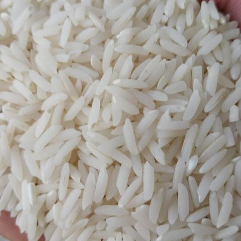 برنج میانه  نه ممان