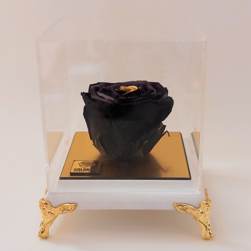 گل رز جاودان مشکی طلایی معطر  همراه با باکس  پایه سفید