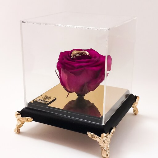 گل رز جاودان  معطر  رنگ سرخابی طلایی همراه با باکس  پایه مشکی 