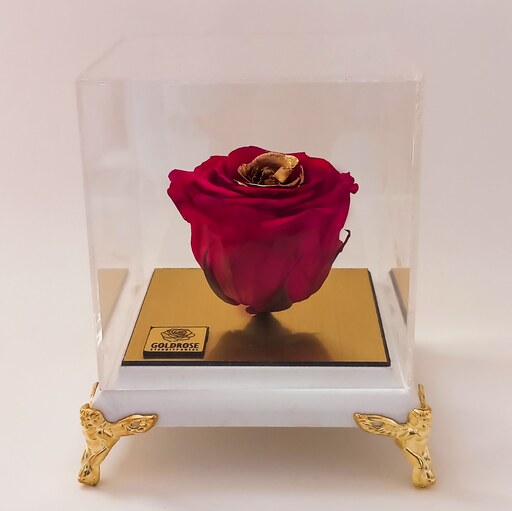 گل رز جاودان  معطر  رنگ سرخابی طلایی همراه با باکس  پایه سفید 