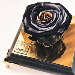 گل رز جاودان  معطر  رنگ مشکی طلایی همراه با باکس  پایه مشکی