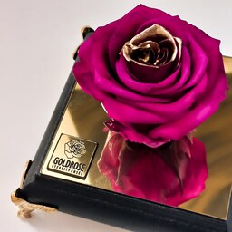 گل رز جاودان  معطر  رنگ سرخابی طلایی همراه با باکس  پایه مشکی 