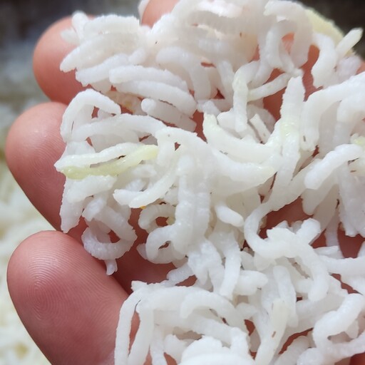 برنج کشت دوم امرالهی 10کیلویی رنگ سفید