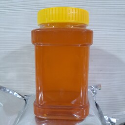 عسل طبیعی  و خالص طارم (یک کیلویی)