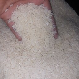 برنج اصل هاشمی گیلان (5کیلویی)