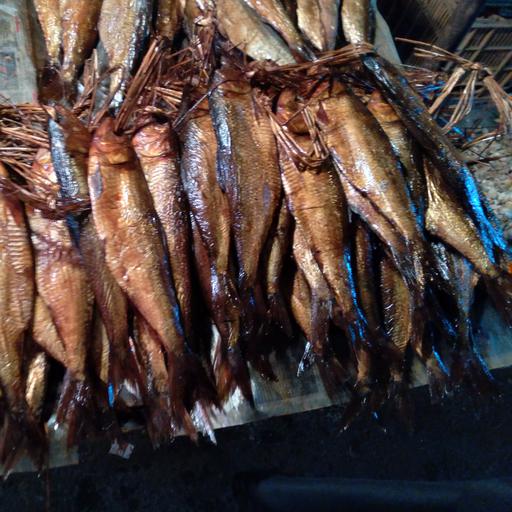 ماهی   دودی  زالون (روغنی) از چاشنی های غذاهای شمالی 00گیلان00