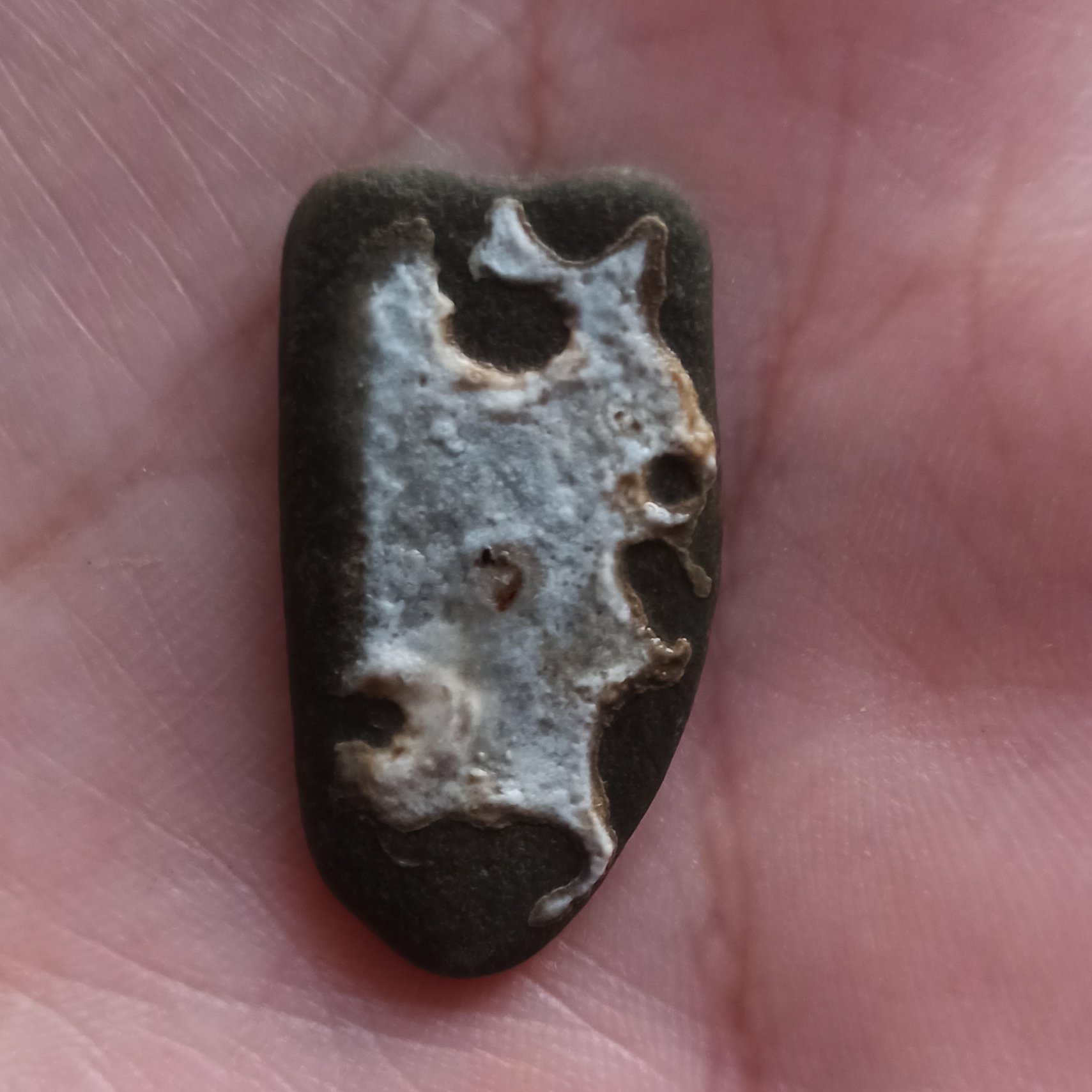 سنگ مصور پرنده و جوجه زیبا