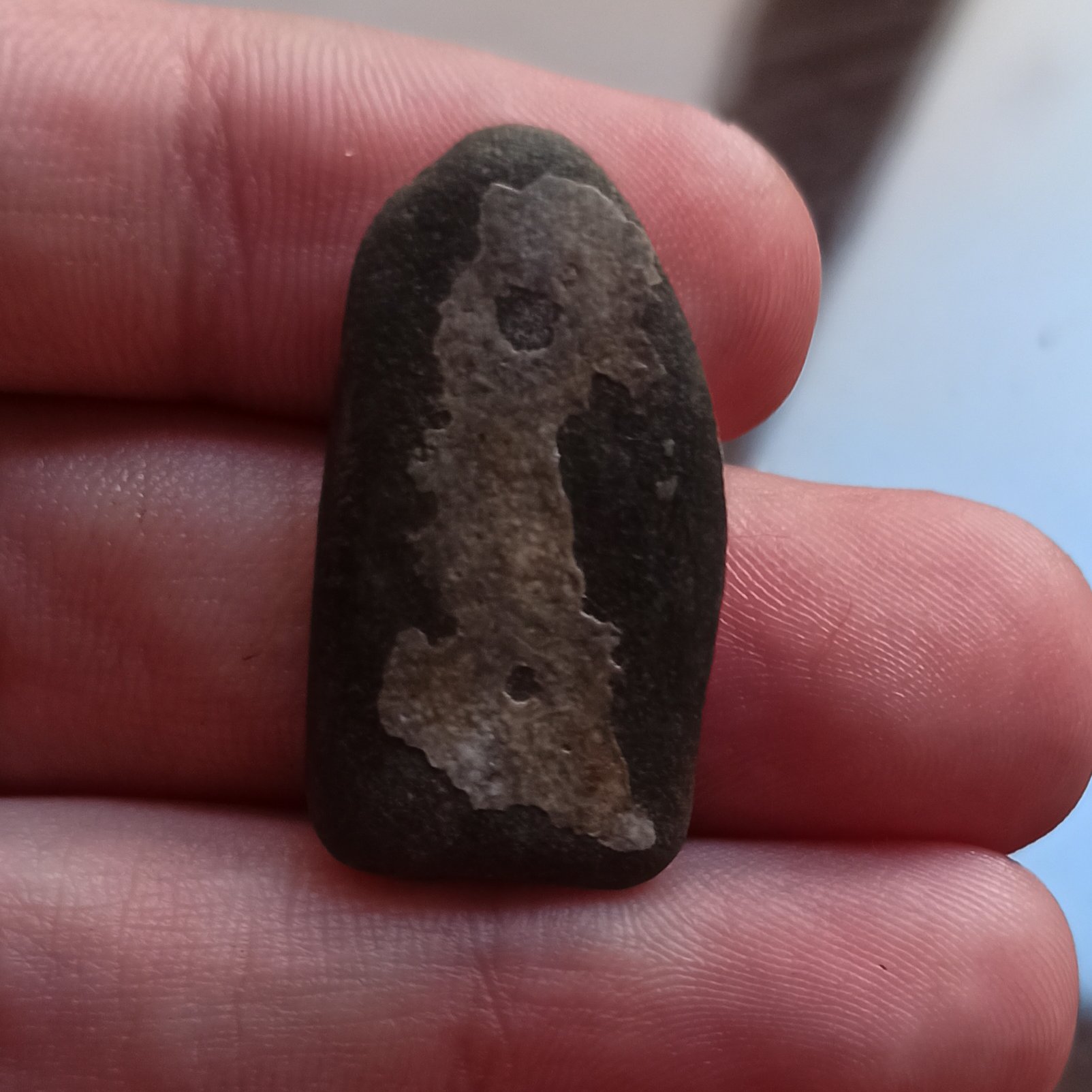 سنگ مصور پرنده و جوجه زیبا