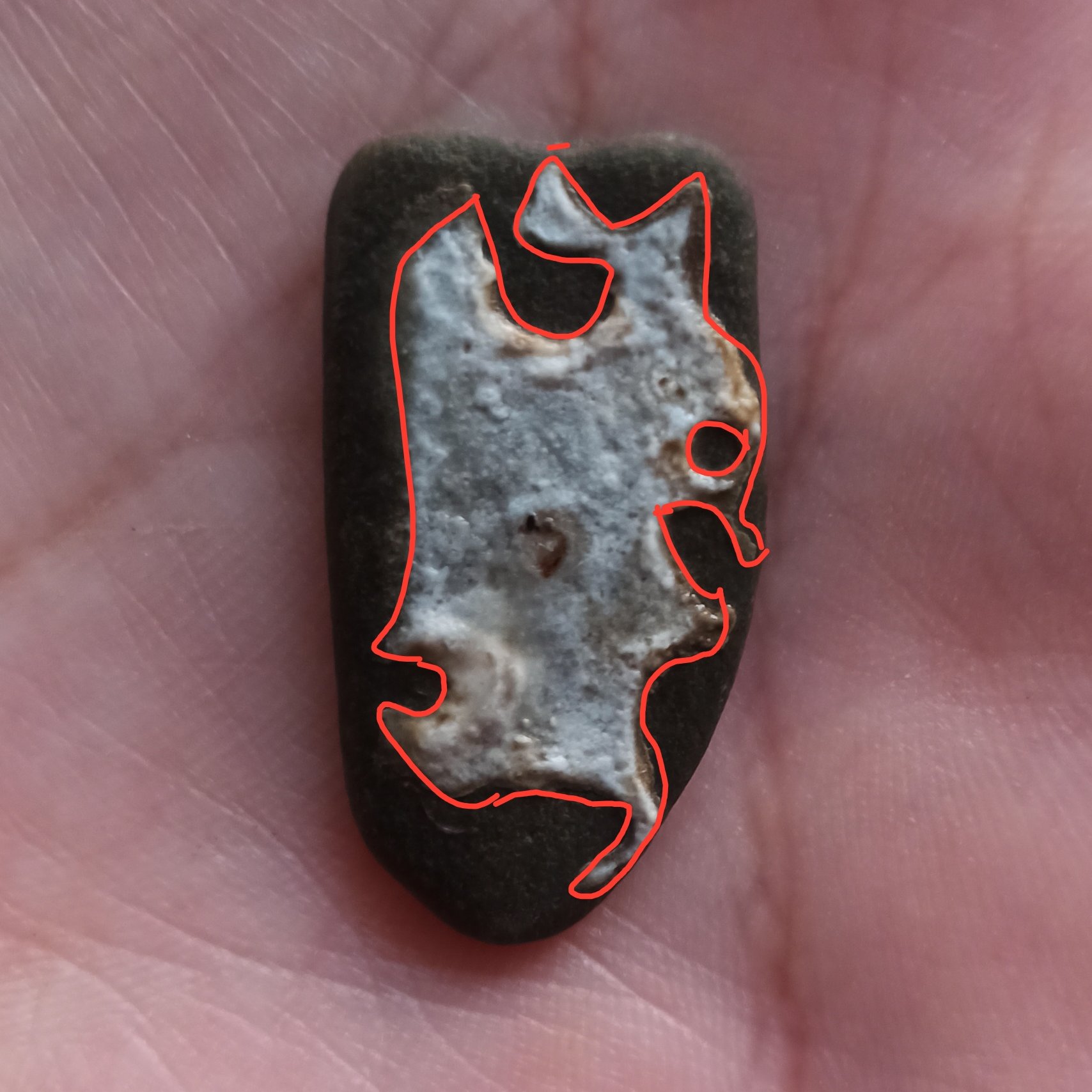 سنگ مصور پرنده و جوجه زیبا