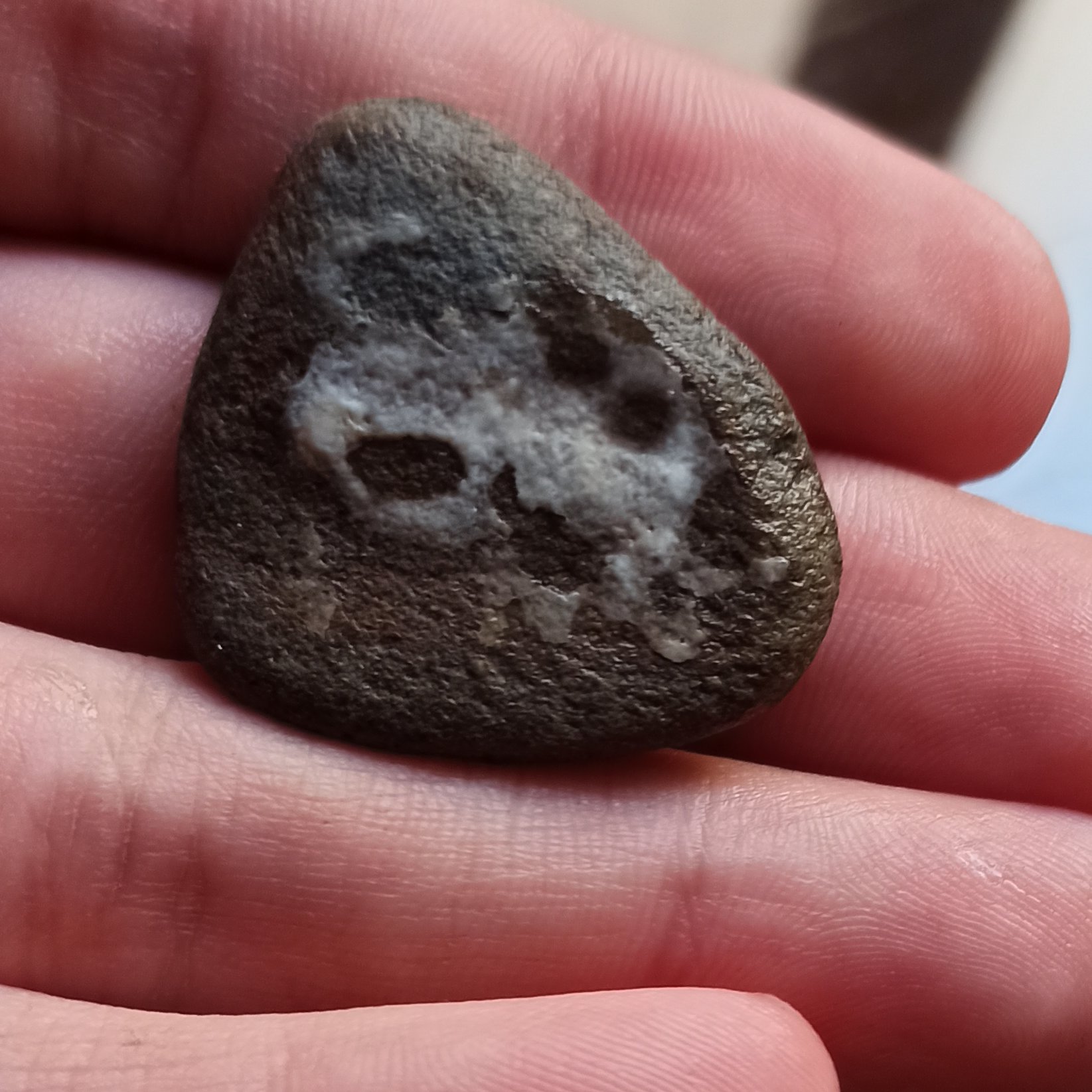 سنگ مصور کرگدن زیبا