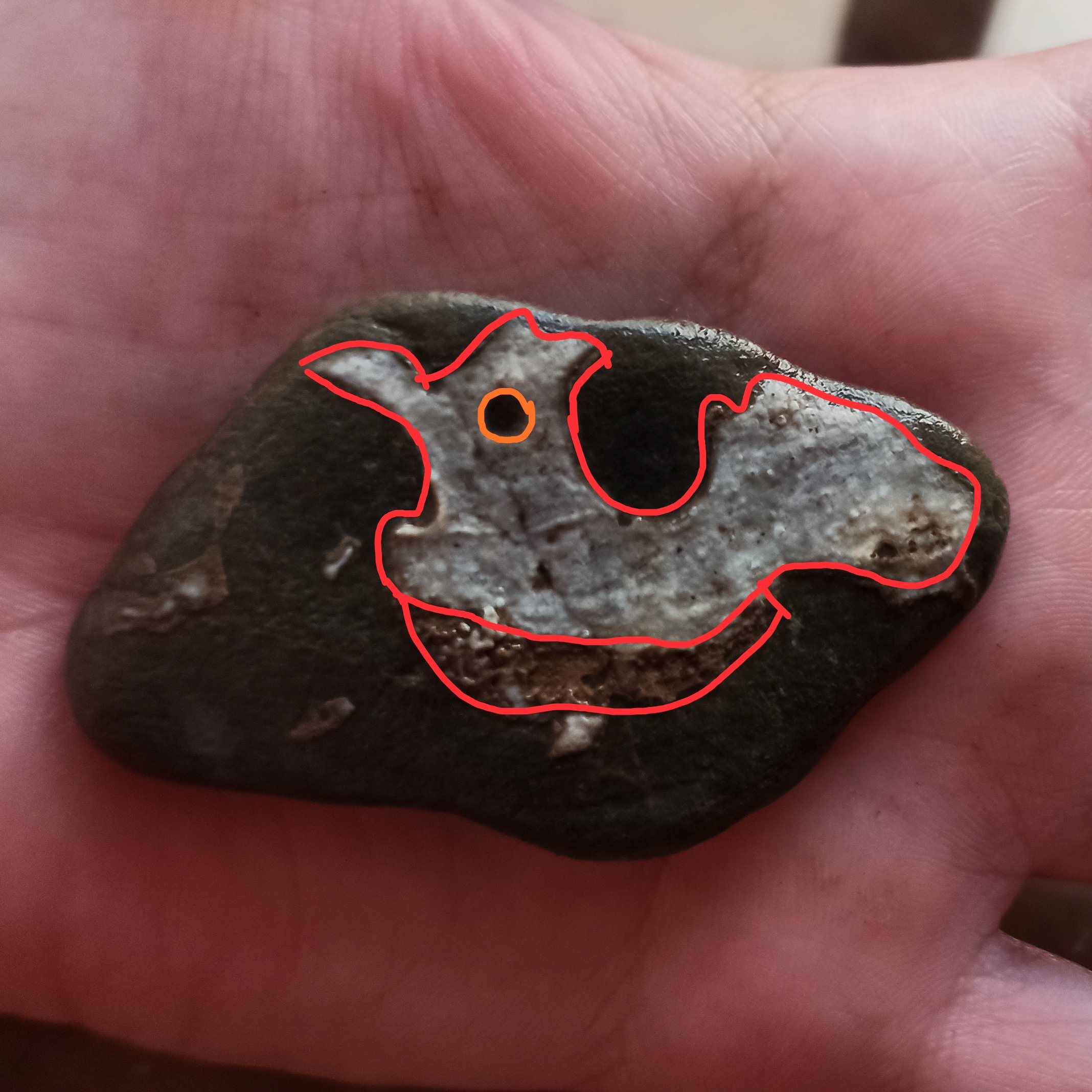 سنگ مصور مرغ و اژدها. استثنایی فوق العاده زیبا